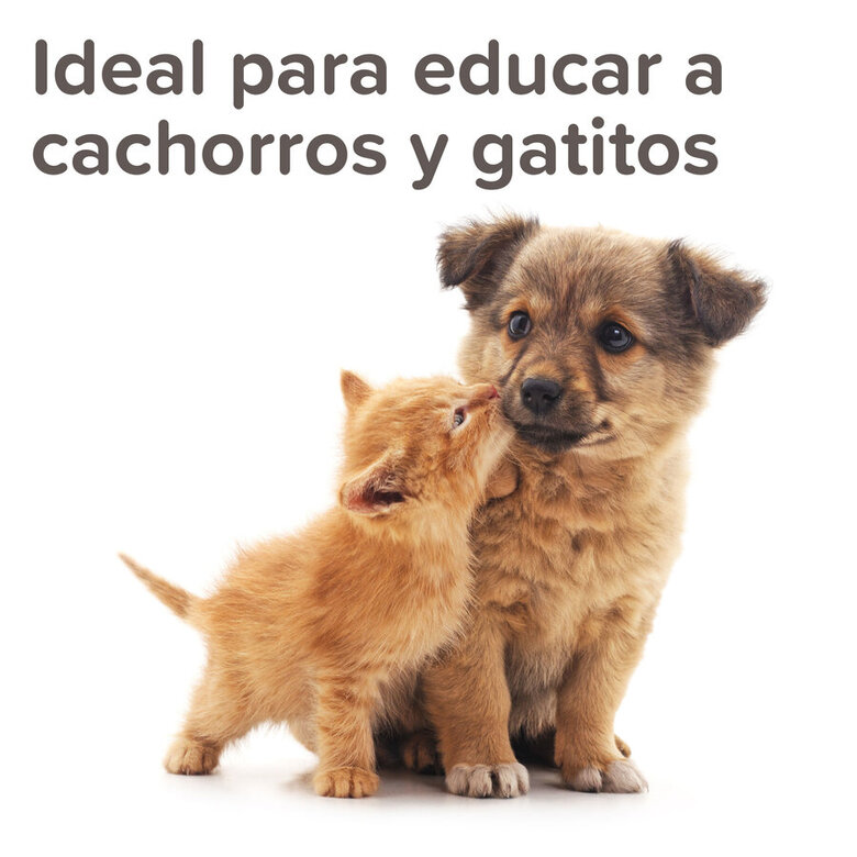 Beaphar Spray anti-urinação para cães e gatos, , large image number null